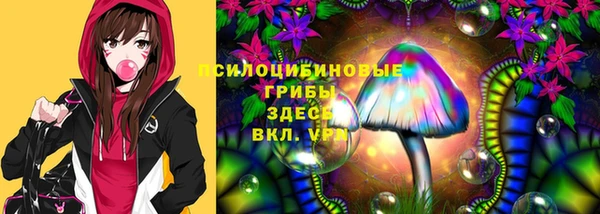 прущая мука Дмитровск