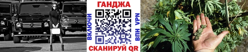 Купить  Починок  Канабис планчик 